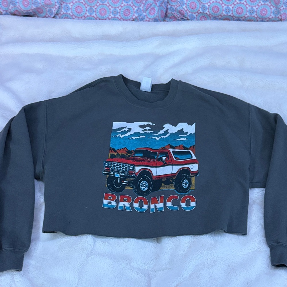Junk Food Clothing Dark Gray Sweatshirt
